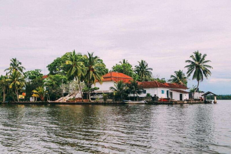 From Galle: Exclusive Madu River Safari & Turtle Hatchery - What Makes This Tour Stand Out