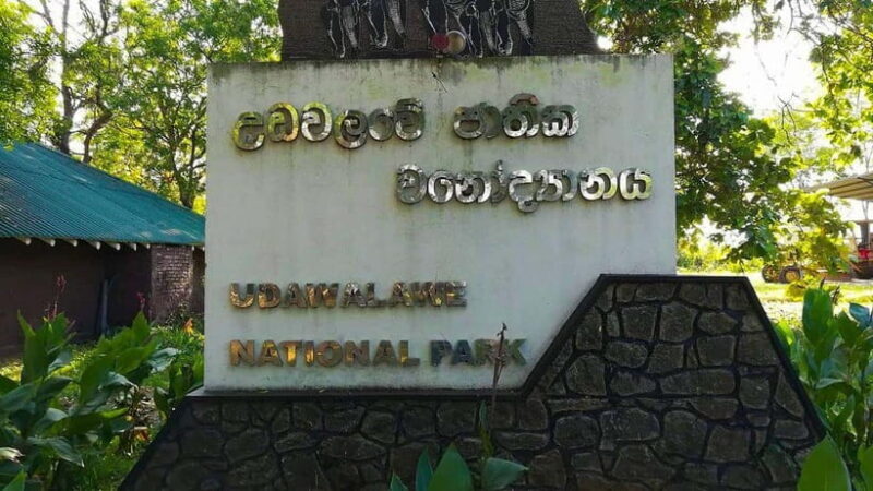 From Galle/Hikkaduwa/Bentota: Udawalawe Safari Tour. - What Past Travelers Say