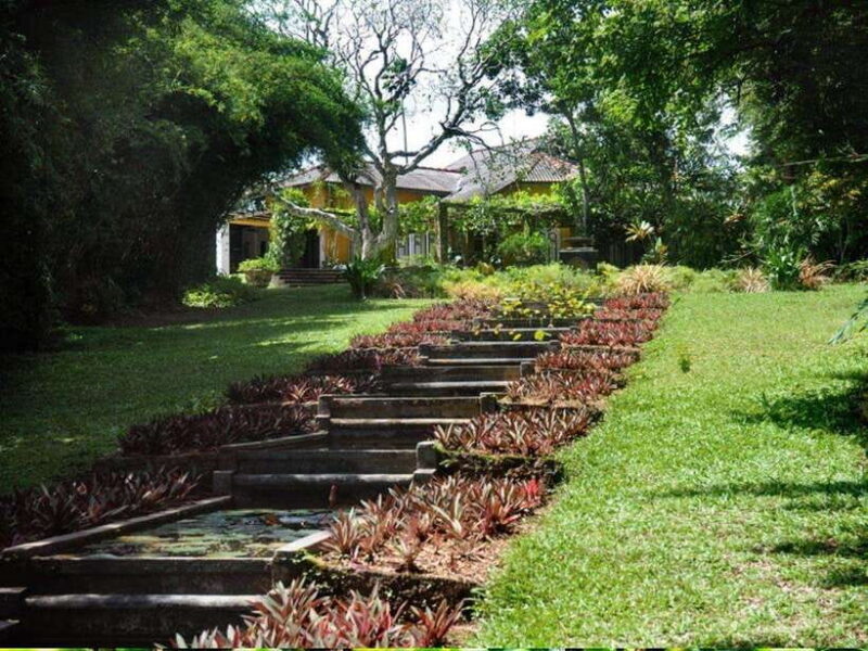 From Galle/Hikkaduwa: Discover Lunuganga & Brief Garden - Detailed Breakdown of the Itinerary