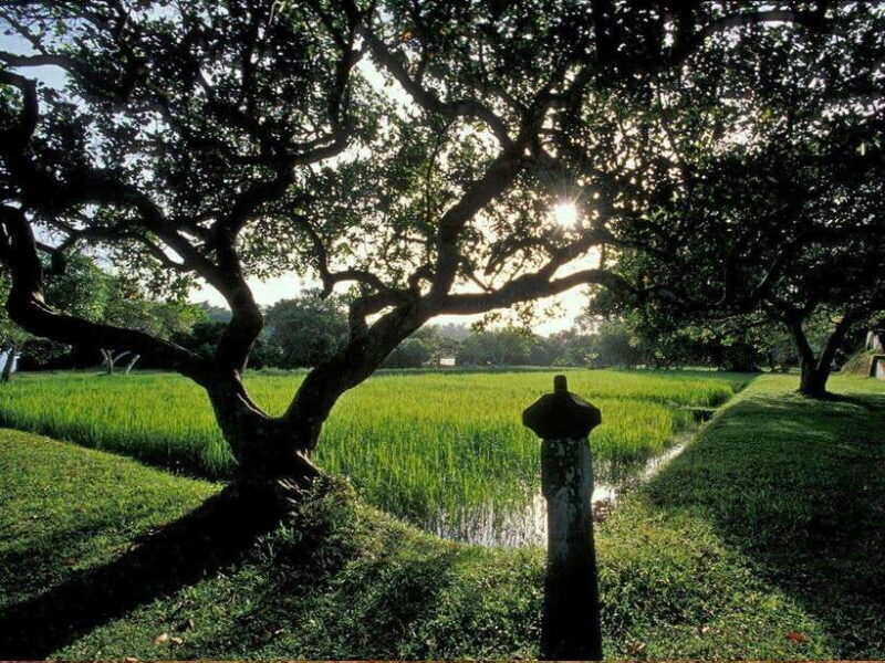 From Galle/Hikkaduwa: Discover Lunuganga & Brief Garden - The Sum Up
