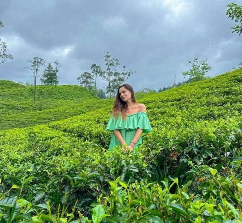 From Galle/Hikkaduwa/Mirissa -All-Inclusive Day Trip to Ella - The Scenic Train Ride: A Highlight