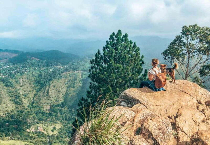 From Galle/Hikkaduwa/Mirissa: Day Trip to Experience Ella - Key Points