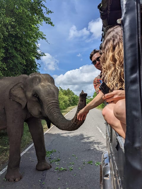 From Galle/Hikkaduwa/Mirissa Trip to Udawalawe Safari Tour - Customer Feedback