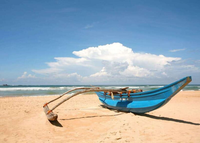 From Galle: Madu River Safari, Turtles & Galle Fort - Who Will Love This Tour?