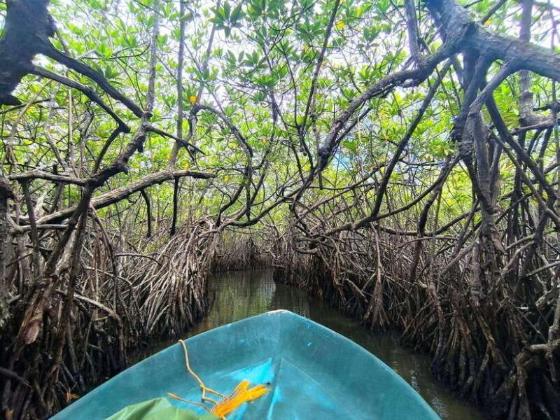 From Galle: Madu River Safari, Turtles & Galle Fort - FAQs