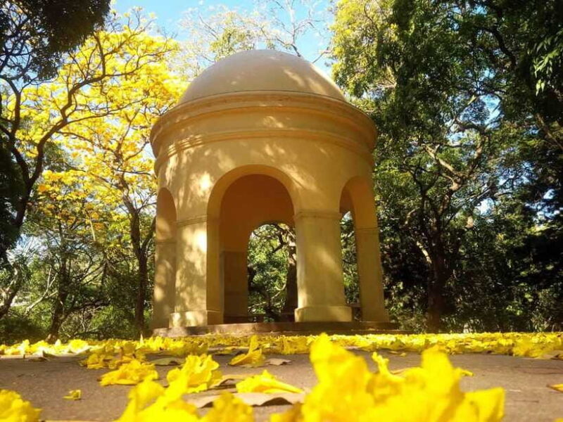 From Galle/Mirissa/Hikkaduwa: Kandy Day Tour with Pickup - Pricing and Value