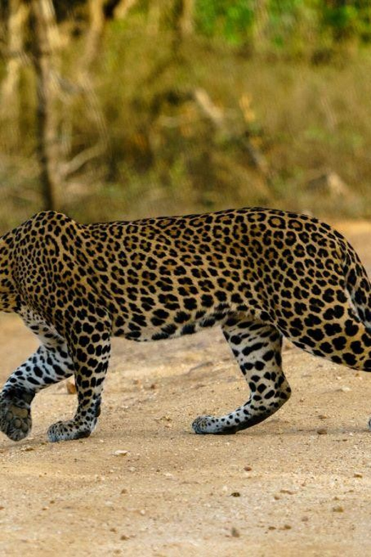 From Galle/Mirissa/Hikkaduwa - Yala Full Day Safari Tour - Pickup and Drop-off Locations