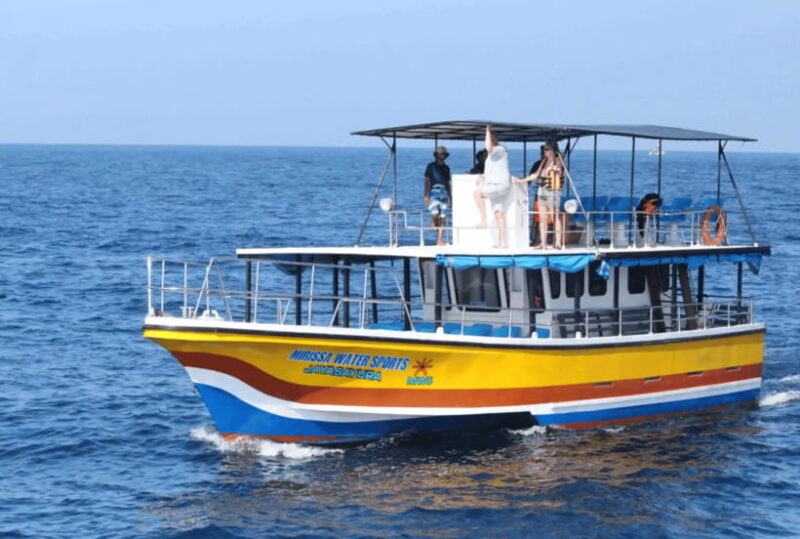 From Galle: Mirissa Whale and Dolphin Watching Boat Ride - FAQs