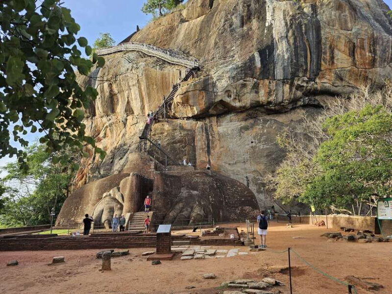 From Galle: Sigiriya Rock Fortress, Dambulla Cave & Safari - Key Points