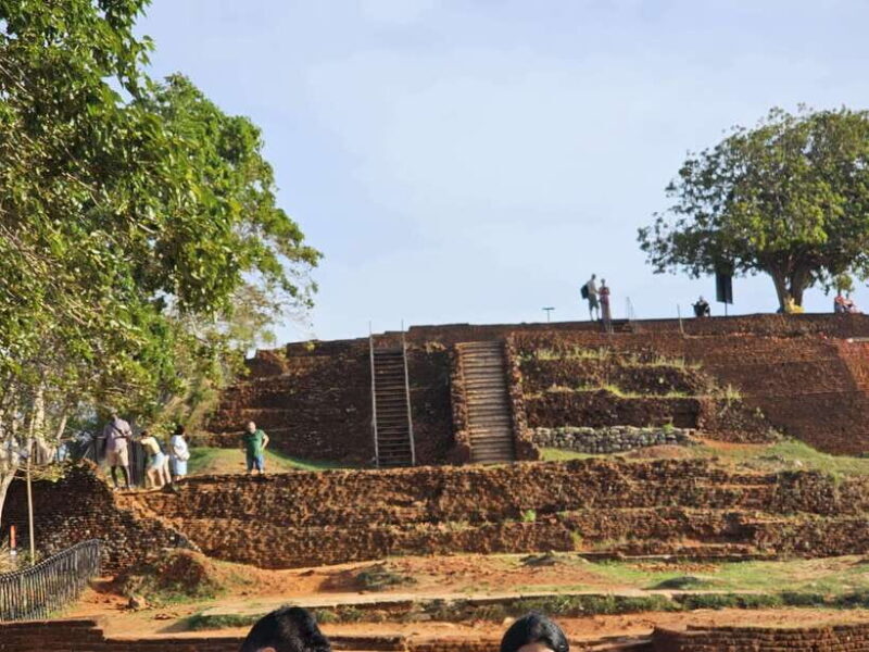 From Galle: Sigiriya Rock Fortress, Dambulla Cave & Safari - Wildlife Safari: An Optional Adventure