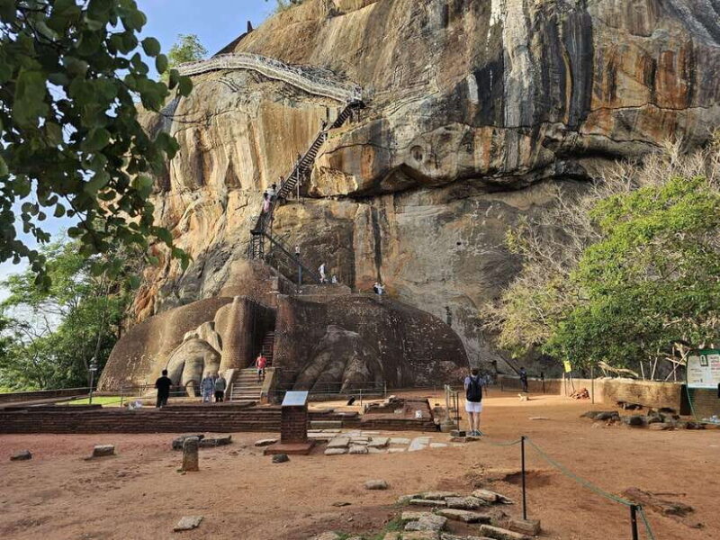 From Galle: Sigiriya Rock Fortress, Dambulla Cave & Safari - How the Tour Fits Together: Practical Details