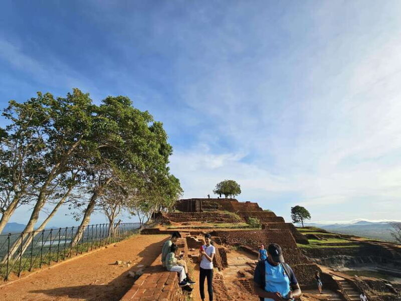 From Galle: Sigiriya Rock Fortress, Dambulla Cave & Safari - The Experience in Context: What You’ll Take Away