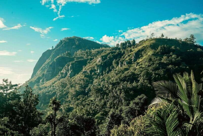 From Galle/Weligama/Mirissa: Day Trip to Ella Highlands - Key Points
