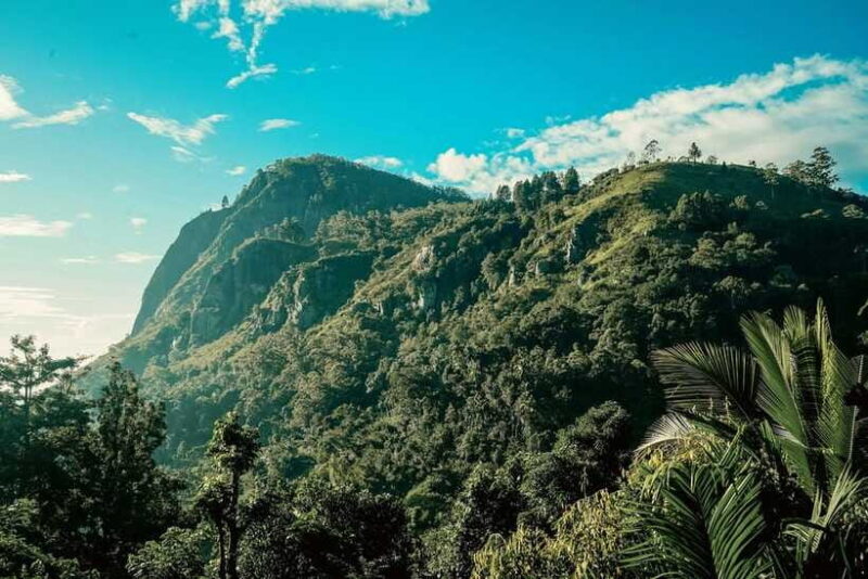 From Galle/Weligama/Mirissa: Day Trip to Ella Highlands - Who Will Love This Experience?