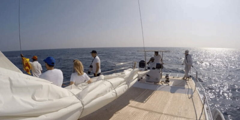 From Galle : Whale and Dolphin Watching Tour in Mirissa - Key Points