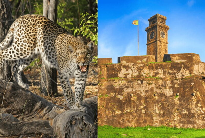 From Galle: Yala Day Trip with Free Entrance and Food - Frequently Asked Questions