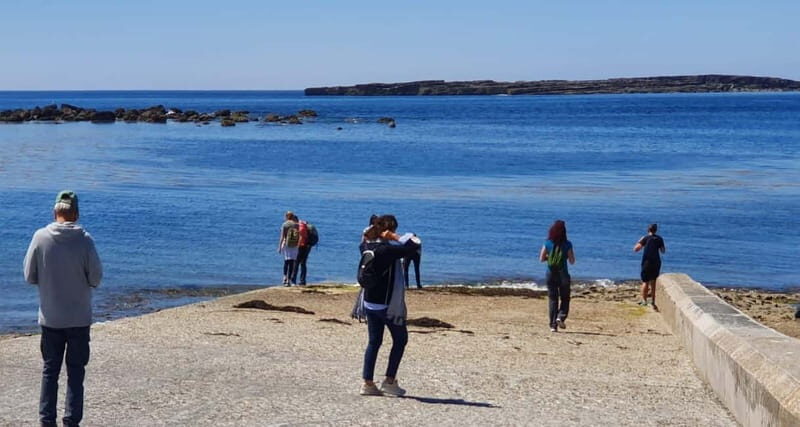 From Galway; Aran Islands day Tour & Cliffs of Moher cruise - Key Points  