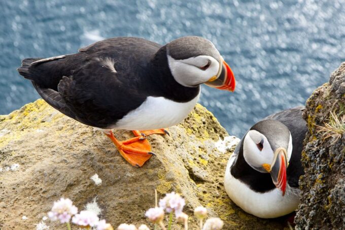 From Galway: Cliffs of Moher Half-Day Express Trip - Nearby Attractions