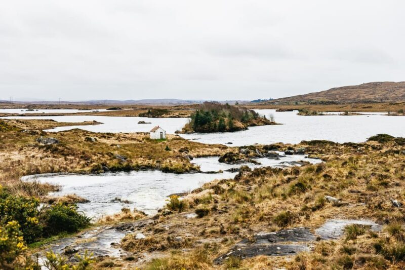 From Galway: Connemara and Connemara National Park Day Trip - Who It’s Best For