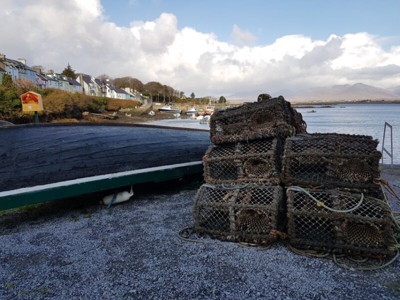 From Galway: Connemara and Kylemore Abbey Day Tour - Key Points