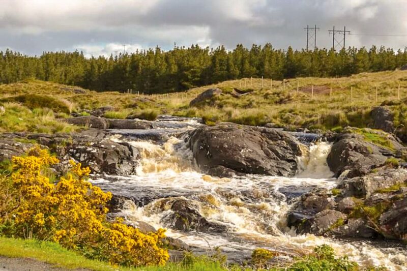 From Galway: Connemara & Kylemore Abbey Full-Day Guided Tour - Good To Know