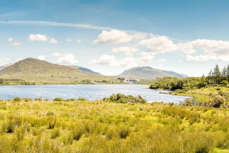 From Galway: Connemara & Kylemore Abbey Full-Day Guided Tour - Customer Reviews