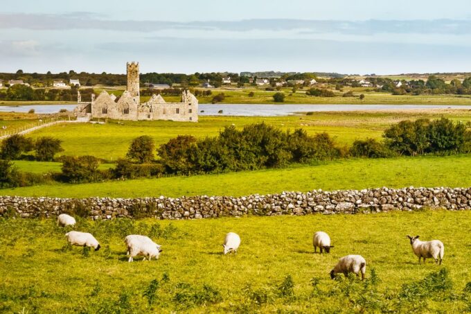 From Galway: Connemara & Kylemore Abbey Full-Day Guided Tour - Booking and Cancellation Policy