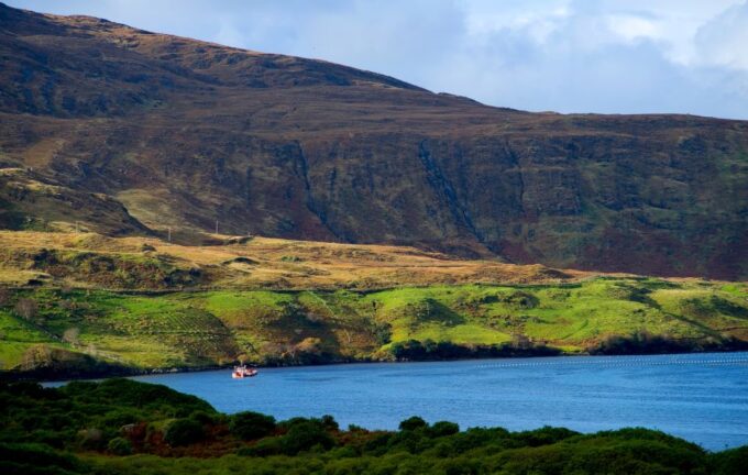 From Galway: Connemara National Park Full Day Tour - Frequently Asked Questions
