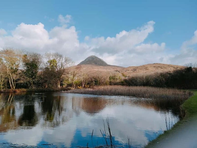 From Galway:Connemara, Kylemore Abbey & Castles Private Tour - Introduction