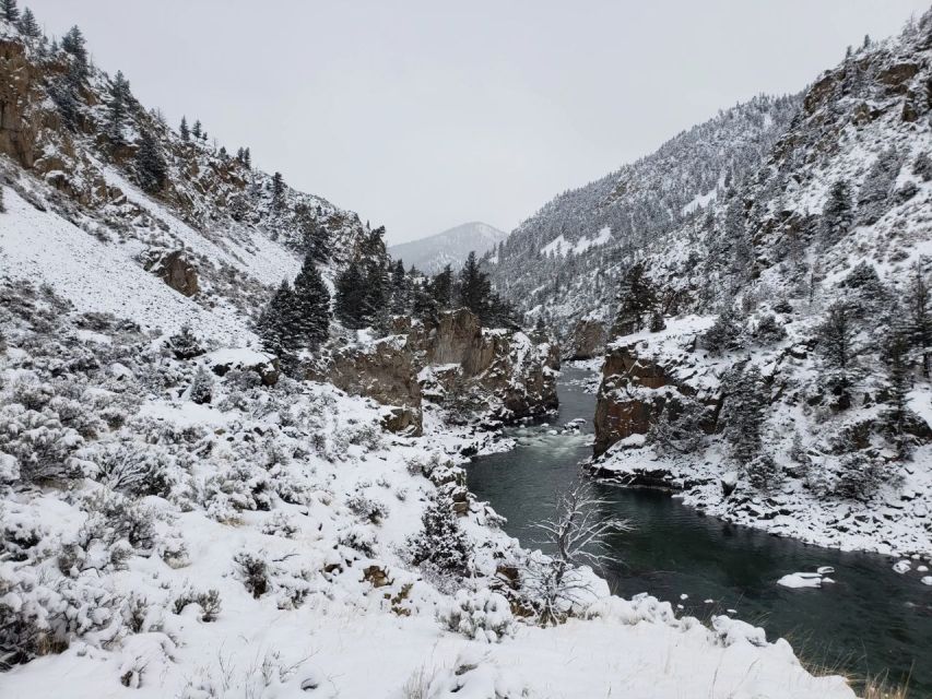 From Gardiner: Guided Yellowstone Cross-Country Skiing Tour - Tour Highlights