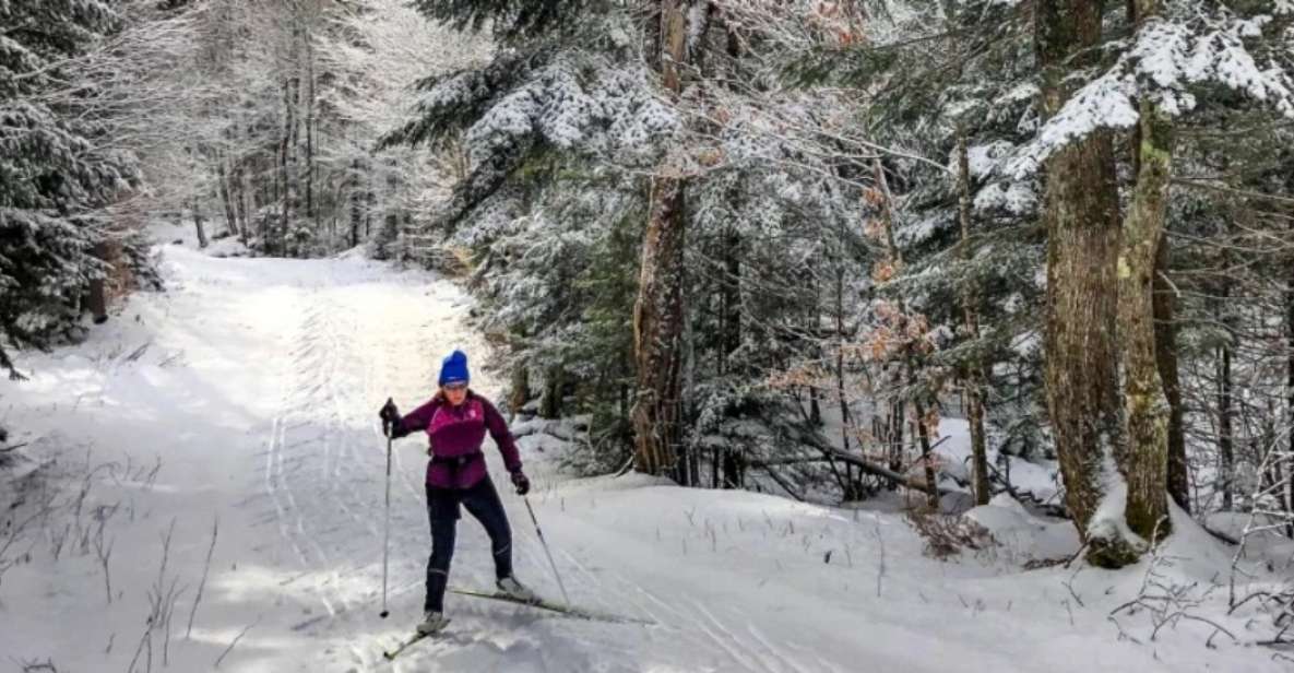 From Gardiner: Guided Yellowstone Cross-Country Skiing Tour - Booking and Availability
