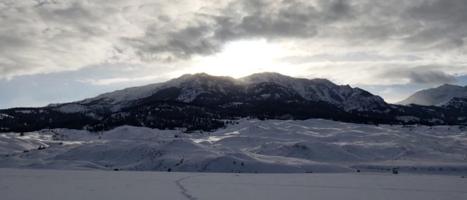 From Gardiner: Guided Yellowstone Cross-Country Skiing Tour - Peaceful Wilderness Experience