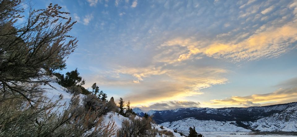 From Gardiner: Yellowstone National Park Snowshoe Tour - Activity Highlights
