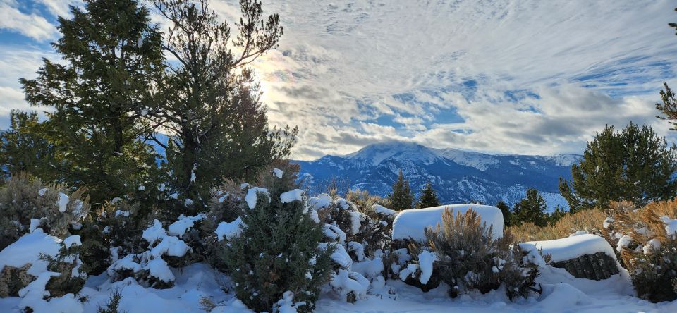 From Gardiner: Yellowstone National Park Snowshoe Tour - Full Description