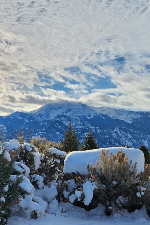 From Gardiner: Yellowstone National Park Snowshoe Tour - Important Information