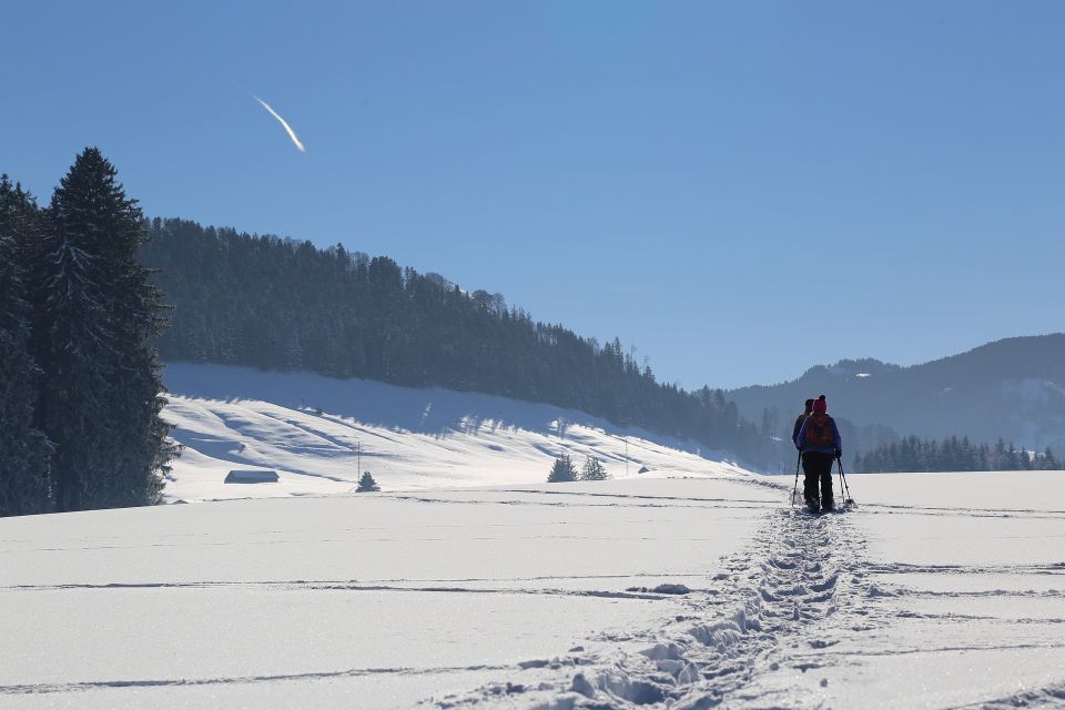 From Gardiner: Yellowstone National Park Snowshoe Tour - Recap