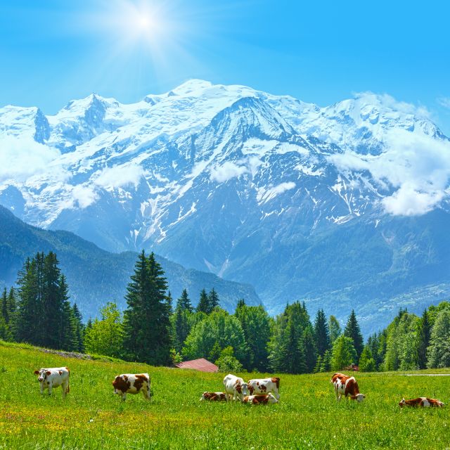 From Geneva: Chamonix Mont-Blanc Private Day Trip - Frequently Asked Questions