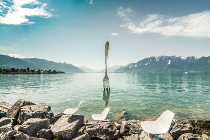 From Geneva: Swiss Riviera Tour - Tips for a Great Experience
