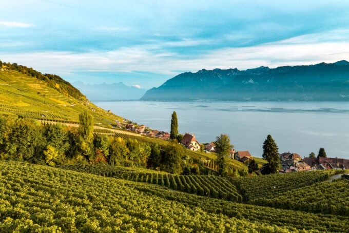 From Geneva: Swiss Riviera Tour - How to Book Your Tour