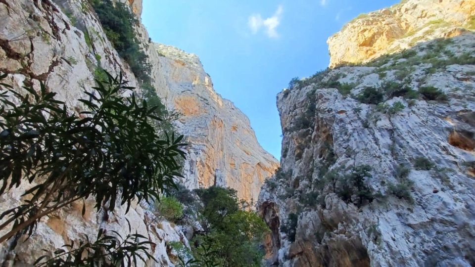 From Genna Silana: Canyon of Gorropu Guided Hike - Inclusions and Requirements