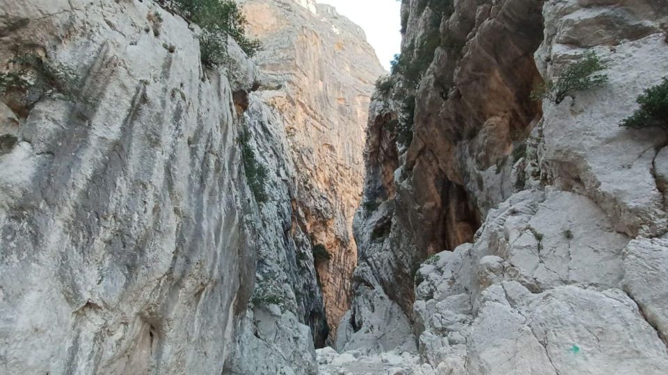 From Genna Silana: Canyon of Gorropu Guided Hike - Frequently Asked Questions