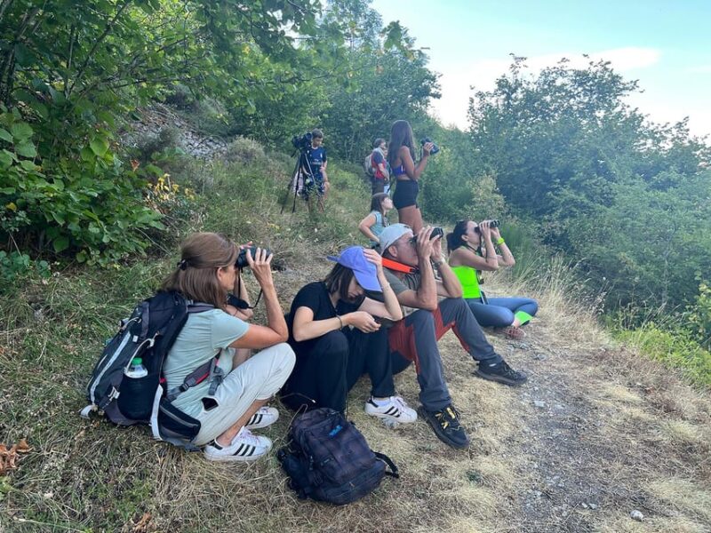 From Gijón, Oviedo or Pola De Somiedo: Brown Bear Spotting - Meeting Points