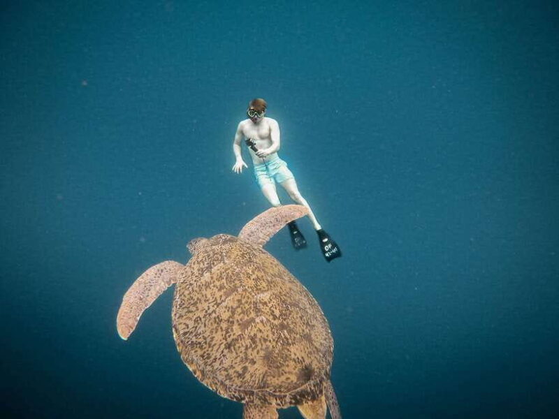 From Gili Air: Snorkeling with Turtles & Underwater Statue - An Introduction to the Tour: What to Expect