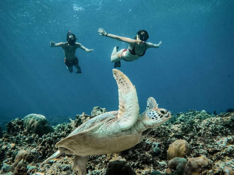 From Gili Air: Snorkeling with Turtles & Underwater Statue - Practical Details & Tips for a Smooth Day
