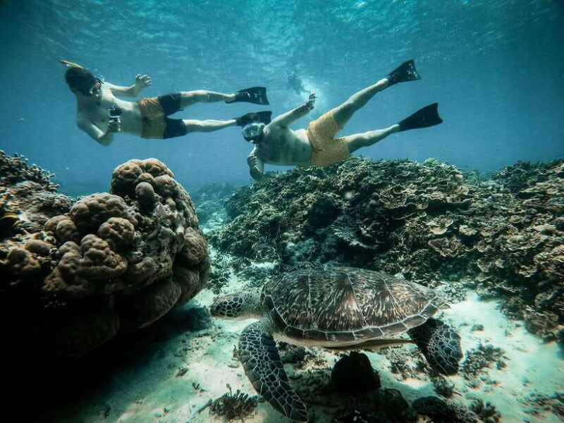 From Gili Air: Snorkeling with Turtles & Underwater Statue - Authentic Experiences from Reviews