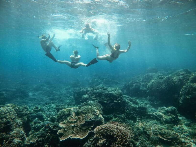 From Gili Air: Snorkeling with Turtles & Underwater Statue - Who Should Consider This Tour?