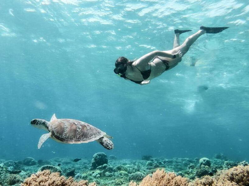From Gili Meno: Private Snorkeling with Turtle & Statue - Experience Breakdown and What to Expect