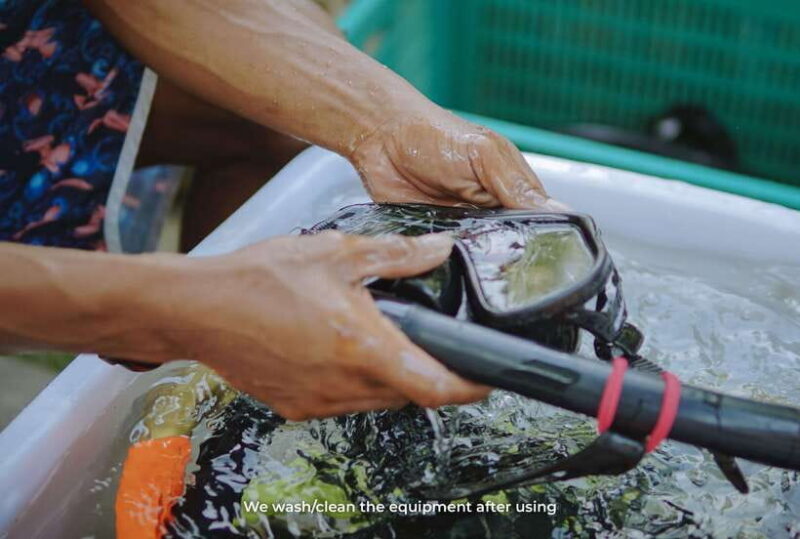 From Gili Trawangan: Gili Islands Snorkeling Boat Tour - Authentic Insights from Travelers