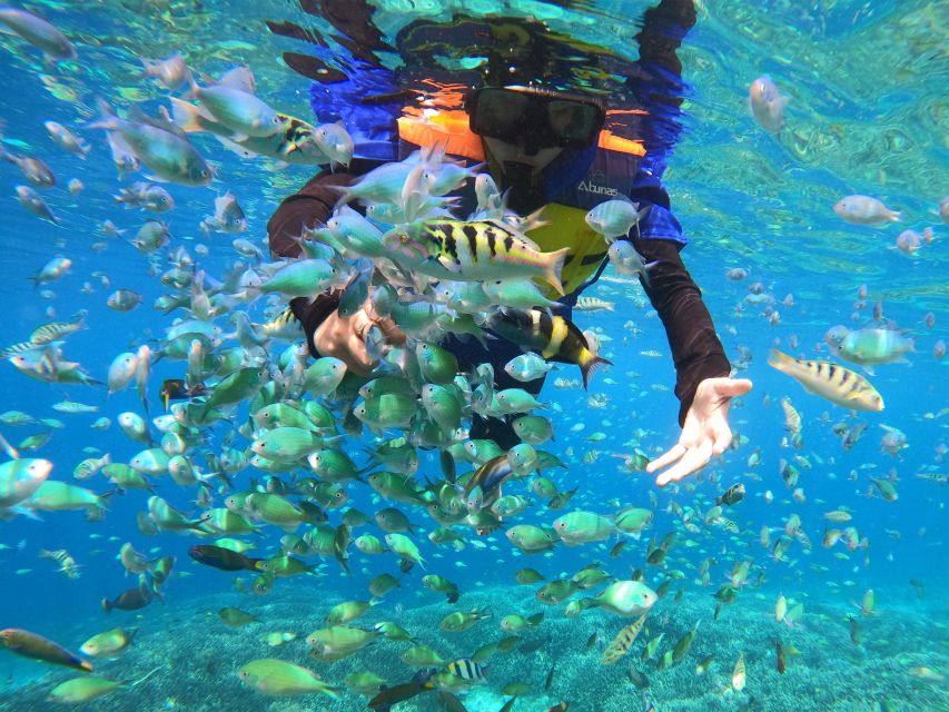 From Gili Trawangan: Gili Islands Snorkeling Tour by Boat - Key Points