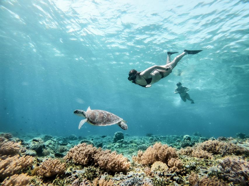 From Gili Trawangan: Gili Islands Snorkeling Tour by Boat - Important Information for Guests
